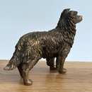 Border Collie Dog figurine, Leonardo Reflections Bronzed, gift boxed