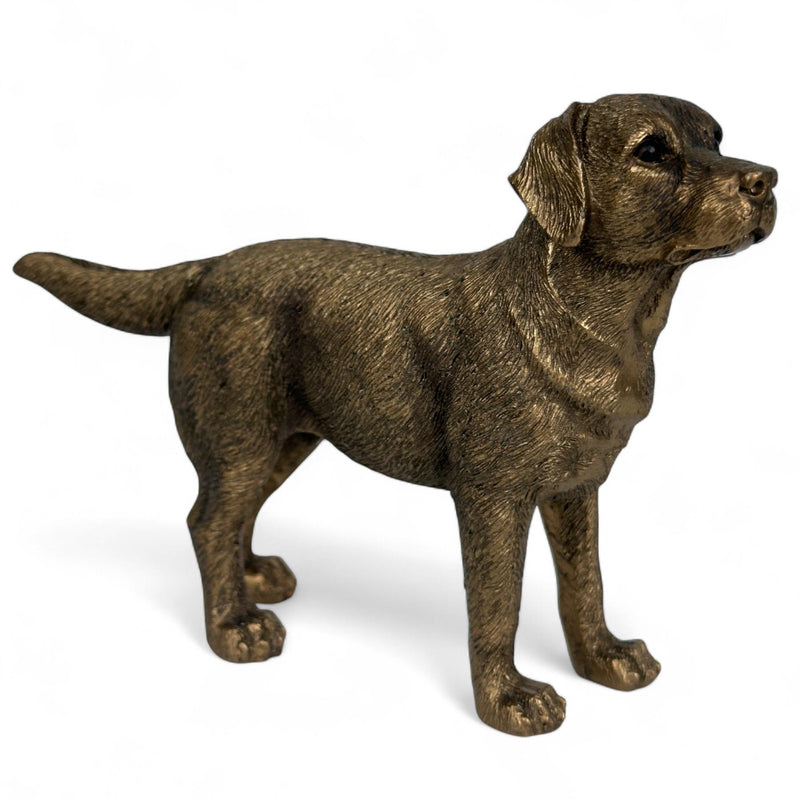 Labrador Dog figurine, Leonardo Reflections Bronzed, gift boxed