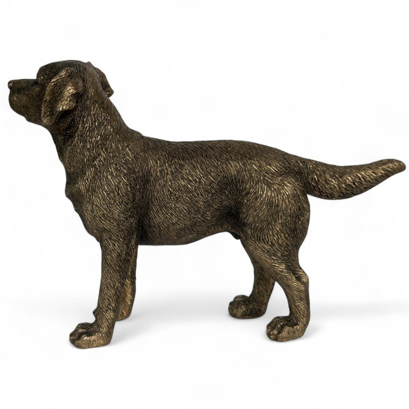 Labrador Dog figurine, Leonardo Reflections Bronzed, gift boxed