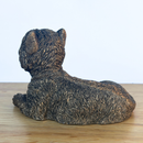 Laying West Highland Terrier 'Westie' Dog figurine, Leonardo Reflections Bronzed, 13cm, gift boxed