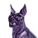 Large 32cm Sitting Boston Terrier Dog Figurine in a Purple Sparkle Finish