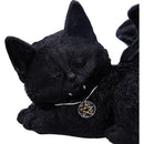 Black Cat With Bat Wings Figurine, 18cm