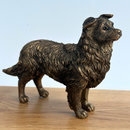 Border Collie Dog figurine, Leonardo Reflections Bronzed, gift boxed