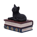 Black Cat On Witches Spell Book Figurine Witch Lover Decoration