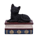 Black Cat On Witches Spell Book Figurine Witch Lover Decoration
