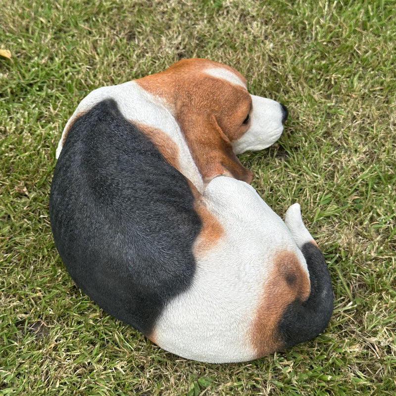 Large realistic laying Beagle Dog figurine home or garden decoration, pet loss gift or memorial