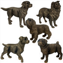 King Charles Spaniel Dog figurine, Leonardo Reflections Bronzed, gift boxed