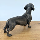 Dachshund figurine in solid cold cast bronze, gift boxed