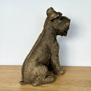 Schnauzer Dog ornament figurine, Leonardo Reflections Bronzed range, gift boxed