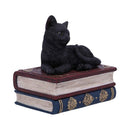Black Cat On Witches Spell Book Figurine Witch Lover Decoration