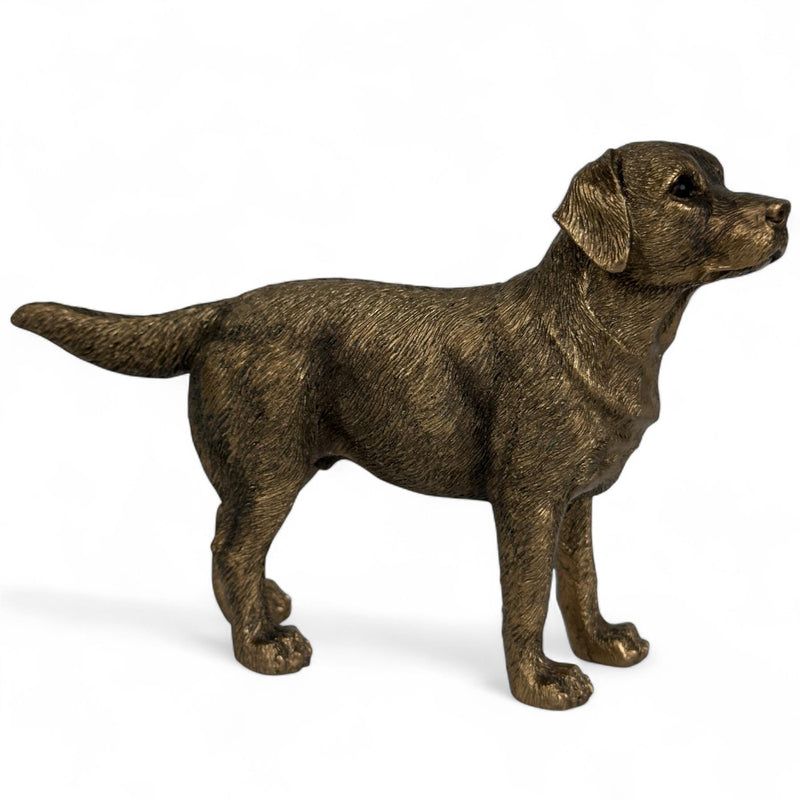 Labrador Dog figurine, Leonardo Reflections Bronzed, gift boxed