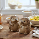 Hedgehogs design ceramic Salt & Pepper shaker set, gift boxed