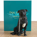 Black Staffordshire Bull Terrier Figurine, Leonardo Dog Studies 'Walkies', Height 18cm, Gift Boxed