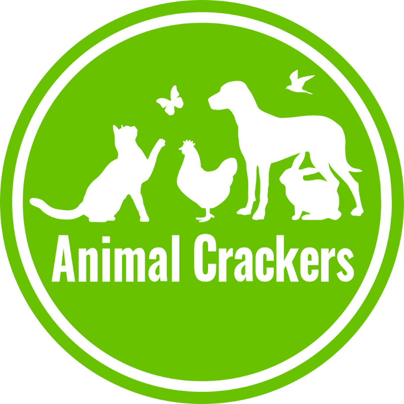 Animal Crackers English Bulldog socks, Ladies quality cotton mix, great Dog lover gift stocking filler