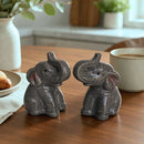 Elephants design ceramic Salt & Pepper shaker set, gift boxed
