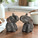 Elephants design ceramic Salt & Pepper shaker set, gift boxed