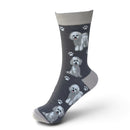Women's Bichon Frise Socks, lovely vibrant colours, soft combed cotton, one size