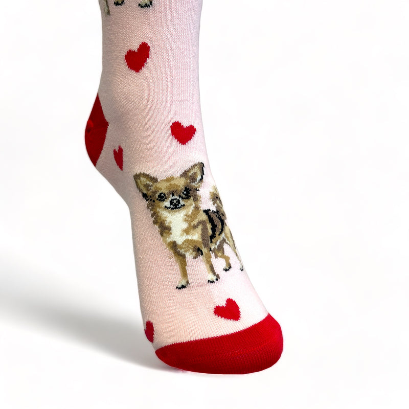 Ladies Chihuahua LOVE DOGS socks with cute dog image and hearts design, one size, quality cotton mix, novelty dog lover gift