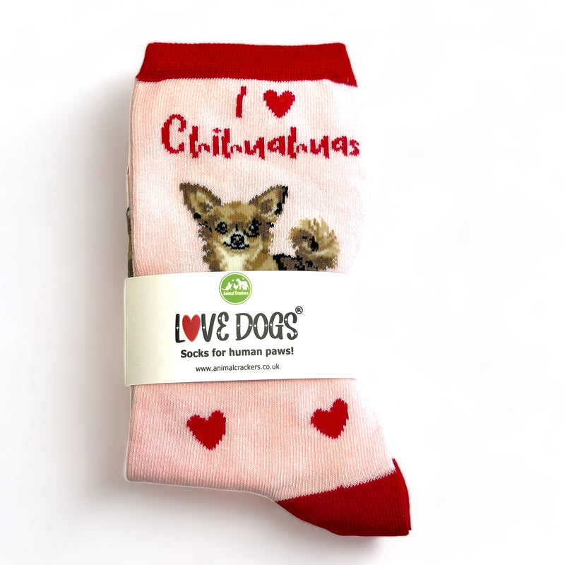 Ladies Chihuahua LOVE DOGS socks with cute dog image and hearts design, one size, quality cotton mix, novelty dog lover gift