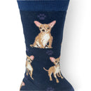 Women's Chihuahua Socks, lovely vibrant colours, soft combed cotton, one size