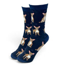 Women's Chihuahua Socks, lovely vibrant colours, soft combed cotton, one size