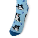 Women's Border Collie Socks, lovely vibrant colours, soft combed cotton, one size