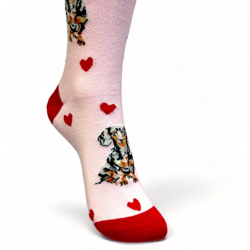 Ladies Dachshund LOVE DOGS socks with cute dog image and hearts design, one size, quality cotton mix, novelty dog lover gift