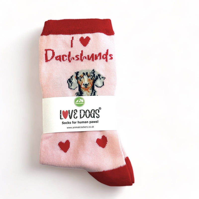 Ladies Dachshund LOVE DOGS socks with cute dog image and hearts design, one size, quality cotton mix, novelty dog lover gift