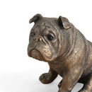 English Bulldog ornament figurine from the Leonardo Reflections Bronzed range, gift boxed