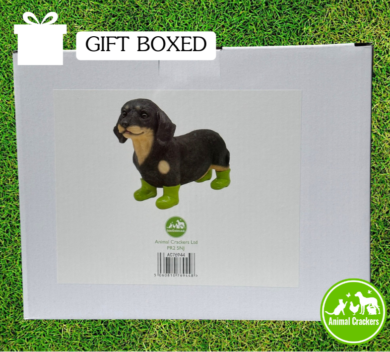Large Dachshund in bright green Wellington Boots 'Welly Dog' figurine home or garden decoration (25cm)