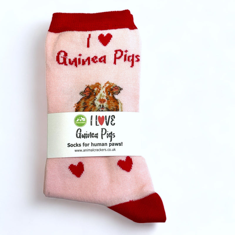 Ladies/Girls Guinea Pig socks, cute Guinea Pig image, I Love Guinea Pigs text and hearts design, one size, quality cotton mix