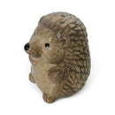 Hedgehogs design ceramic Salt & Pepper shaker set, gift boxed