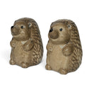 Hedgehogs design ceramic Salt & Pepper shaker set, gift boxed