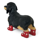 Special Edition Dachshund in Red Wellington Boots with Daisies Pattern figurine, 25cm