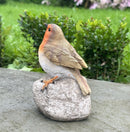 Remembrance Robin with 'When I Appear Your Loved Ones Are Near' sign memorial ornament bird lover gift