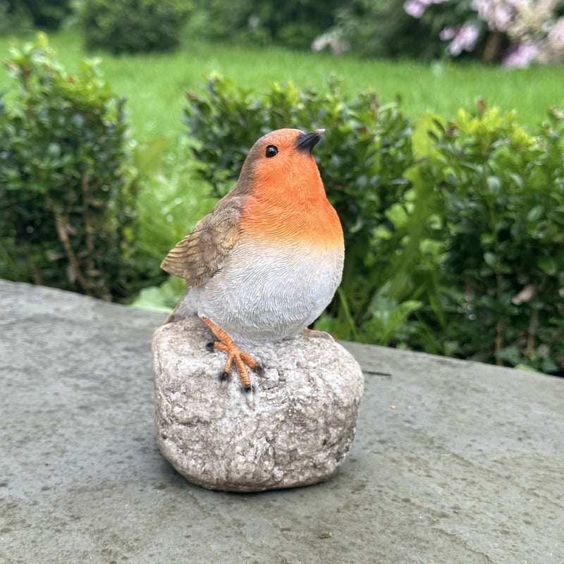 Remembrance Robin with 'When I Appear Your Loved Ones Are Near' sign memorial ornament bird lover gift