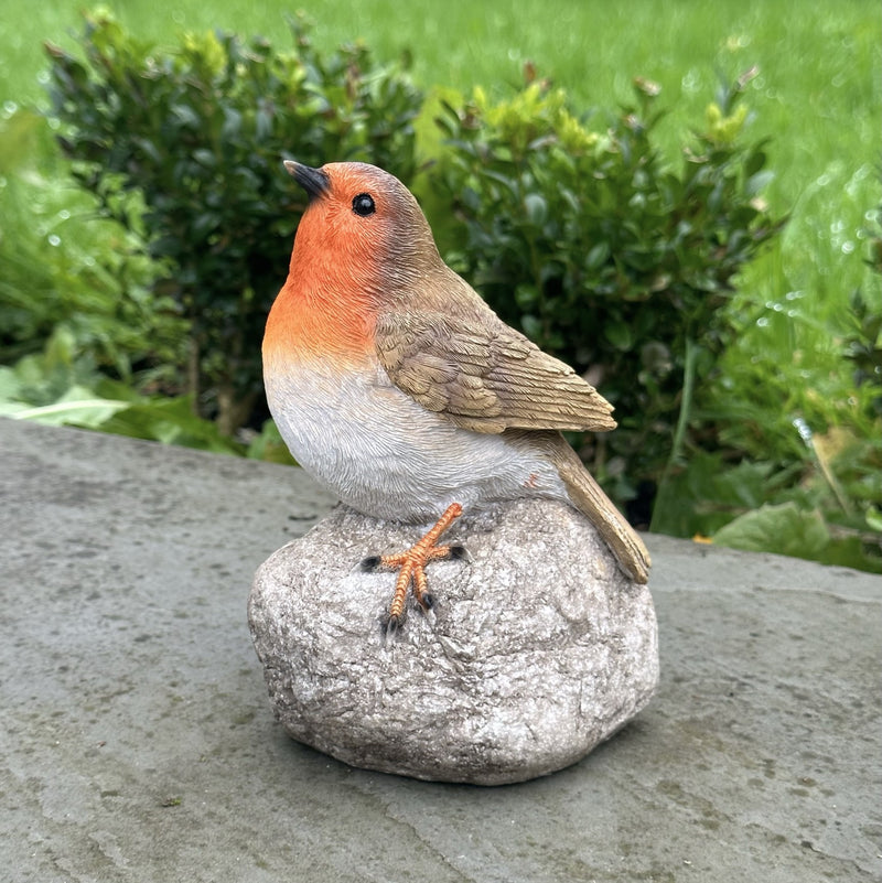 Remembrance Robin with 'When I Appear Your Loved Ones Are Near' sign memorial ornament bird lover gift