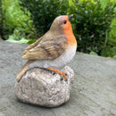 Remembrance Robin with 'When I Appear Your Loved Ones Are Near' sign memorial ornament bird lover gift