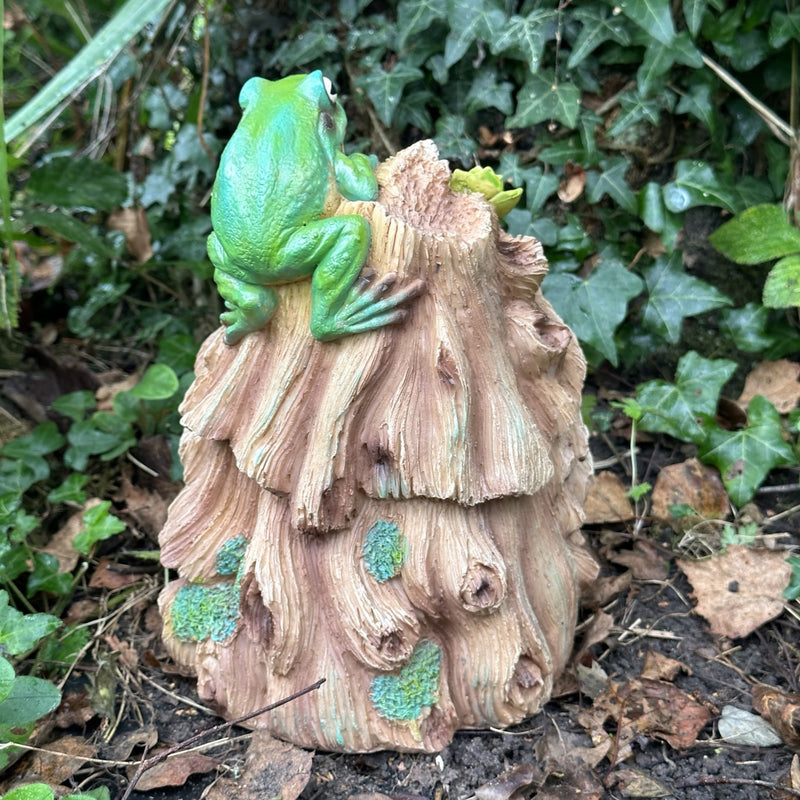 Frog Toad House, face in tree stump design with frog decoration, provides shelter to frogs and other wildlife, novelty frog or wildlife lover gift