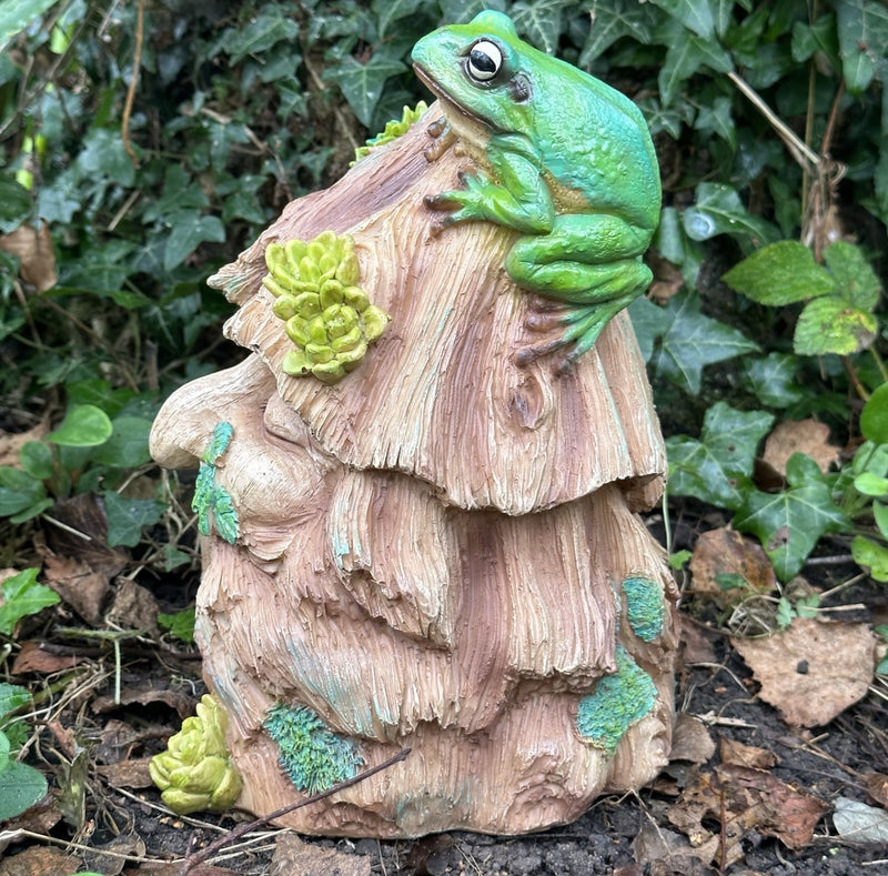 Frog Toad House, face in tree stump design with frog decoration, provides shelter to frogs and other wildlife, novelty frog or wildlife lover gift