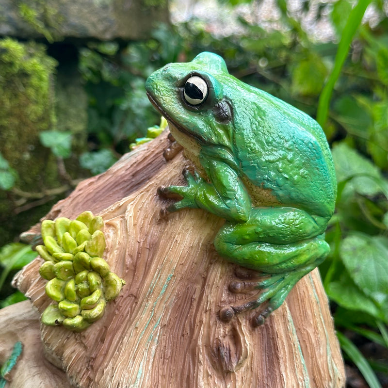 Frog Toad House, face in tree stump design with frog decoration, provides shelter to frogs and other wildlife, novelty frog or wildlife lover gift