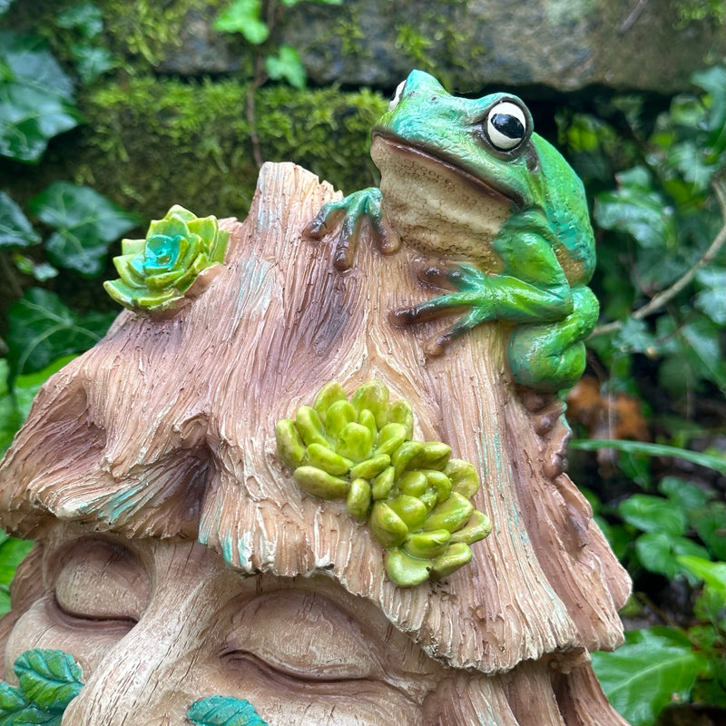 Frog Toad House, face in tree stump design with frog decoration, provides shelter to frogs and other wildlife, novelty frog or wildlife lover gift