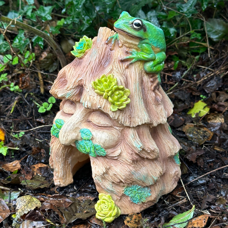 Frog Toad House, face in tree stump design with frog decoration, provides shelter to frogs and other wildlife, novelty frog or wildlife lover gift