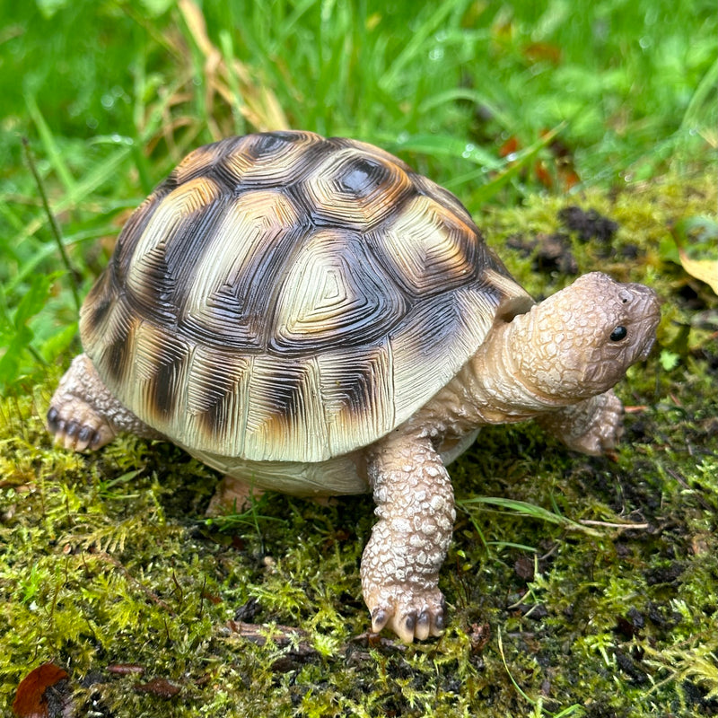 Tortoise ornament home or garden decoration, turtle lover gift