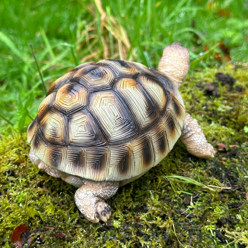 Tortoise ornament home or garden decoration, turtle lover gift