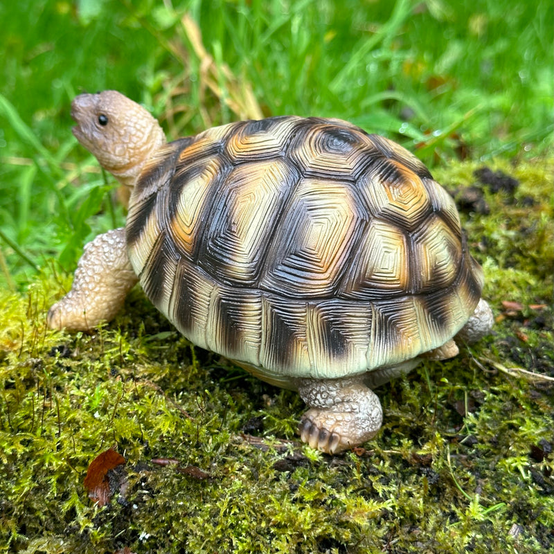 Tortoise ornament home or garden decoration, turtle lover gift