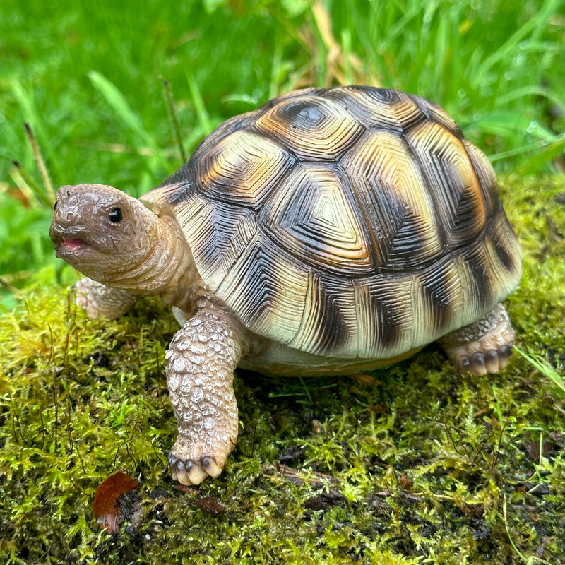 Tortoise ornament home or garden decoration, turtle lover gift