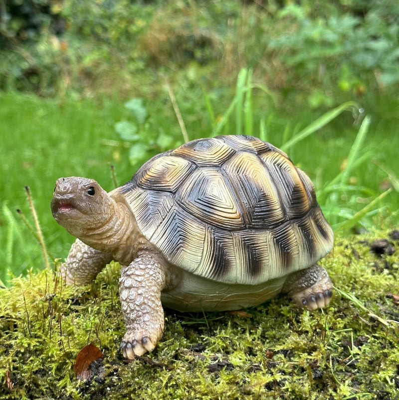 Tortoise ornament home or garden decoration, turtle lover gift