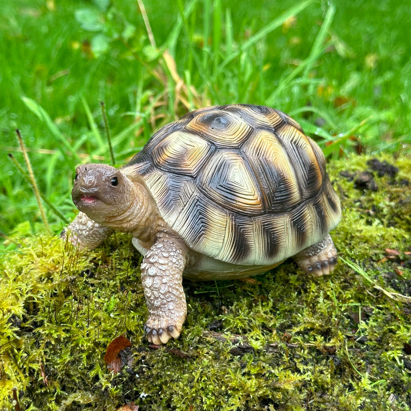 Tortoise ornament home or garden decoration, turtle lover gift