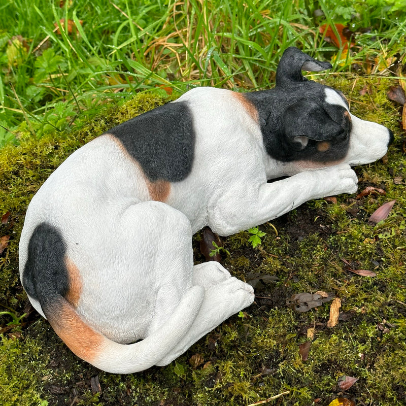 Jack Russell laying figurine, large 46cm ornament, idea memorial, grave marker or garden decoration